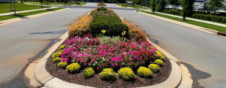 Commercial Seasonal Landscaping for Medians