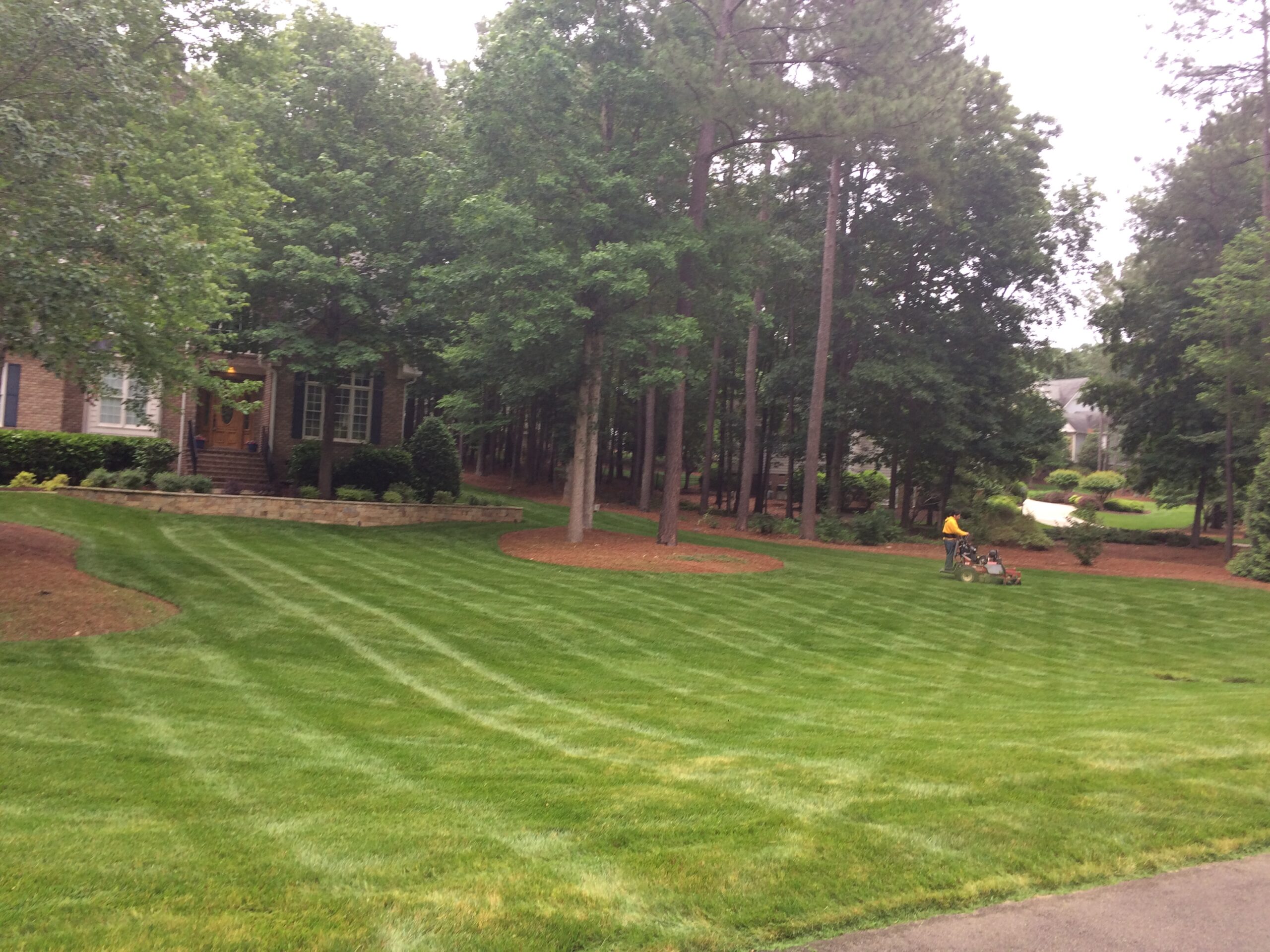 Lawn mowing in green yard