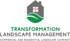 Transformation Landscape Management